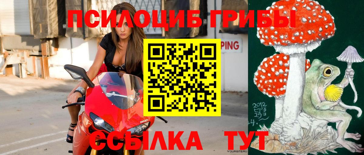 Псилоцибиновые грибы Magic Shrooms  Вход с VPN  Котовск  Псилоцибиновые грибы MAGIC MUSHROOMS 